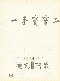 一手宝宝二手妻