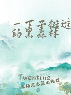 一下子挺进浓密的黑森林