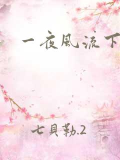 一夜风流下载