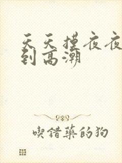 天天摸夜夜摸摸到高潮