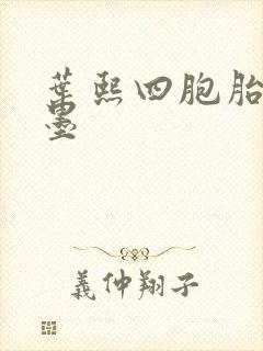 叶熙四胞胎厉子墨