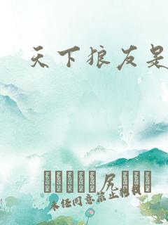 天下狼友是一家