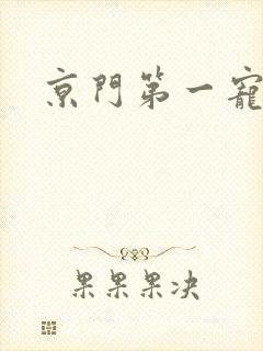 京门第一宠