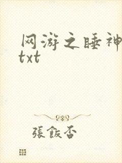 网游之睡神传说txt