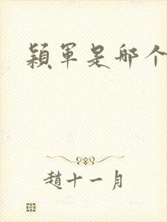 颖军是哪个军阀