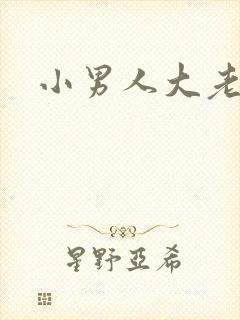 小男人大老婆