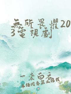 无所畏惧2023电视剧