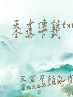 天才传说txt全集下载