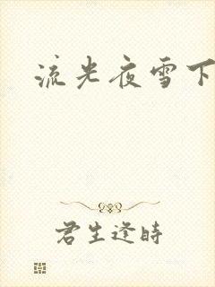 流光夜雪下载