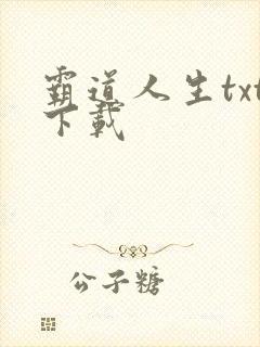 霸道人生txt下载