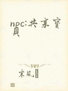 npc:共享宝贝