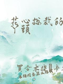 花心总裁的小小丫头