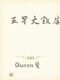 五星大饭店小说