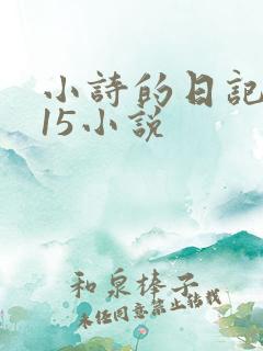 小诗的日记1一15小说