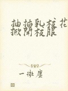 抽插乳校花老师掀开校服