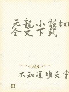 元龙小说txt全文下载