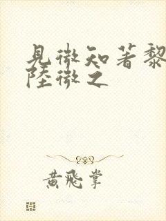 见微知著黎见卿陆微之