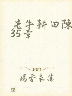 老牛耕田陈雪435章