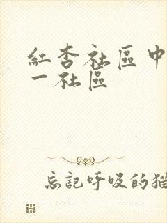 红杏社区中文第一社区