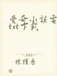 爱奇小说电子书txt下载