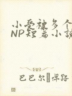 小受被多个攻强NP短篇小说