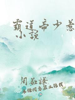 霸道帝少惹不得 小说