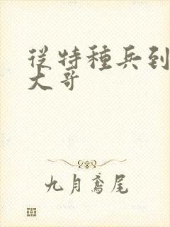 从特种兵到黑道大哥