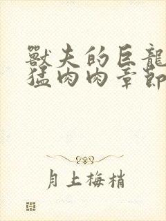 兽夫的巨龙太凶猛肉肉章节