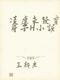 凌虐未发育的小身子H小说