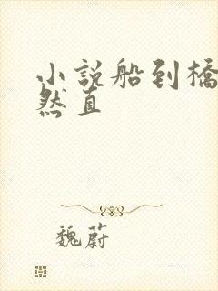 小说船到桥头自然直