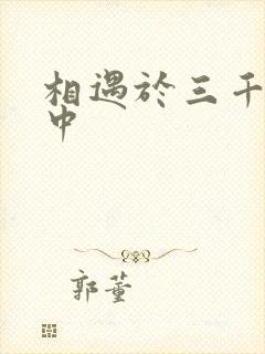 相遇于三千肉文中