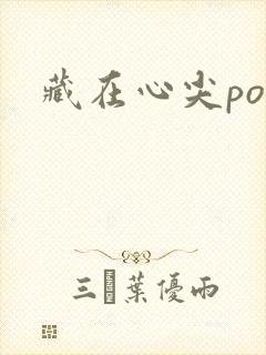藏在心尖poH
