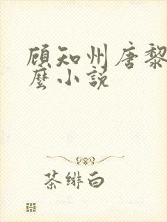 顾知州唐黎叫什么小说