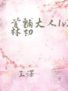 首辅大人1v2林初