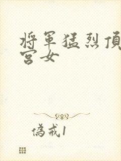 将军猛烈顶弄h宫女