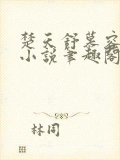 楚天舒慕容江月小说笔趣阁