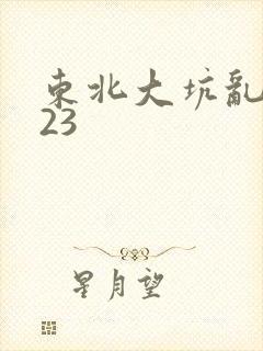 东北大坑乱1—23