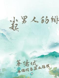 小男人的绯色崛起