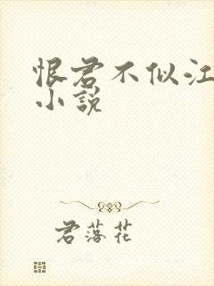 恨君不似江楼月小说