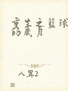 重生之篮球燃烧的岁月