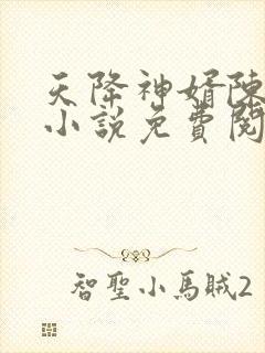 天降神婿陈黄皮小说免费阅读