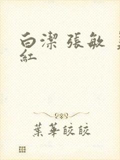 白洁 张敏 美红