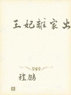 王妃离家出走