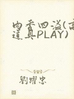 肉香四溢(高H道具PLAY)