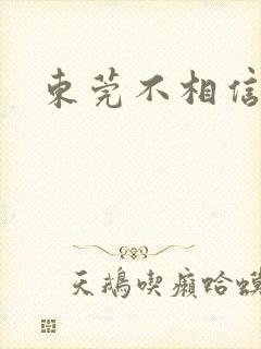 东莞不相信眼泪