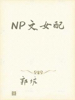 NP文女配