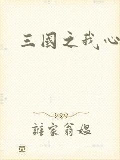 三国之我心狂想