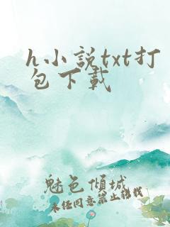 h小说txt打包下载