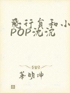 飞行员和小空乘POP沈沉