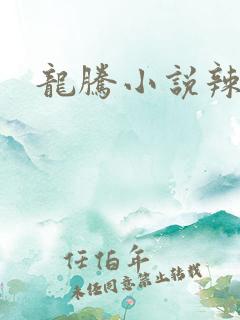 龙腾小说辣文网